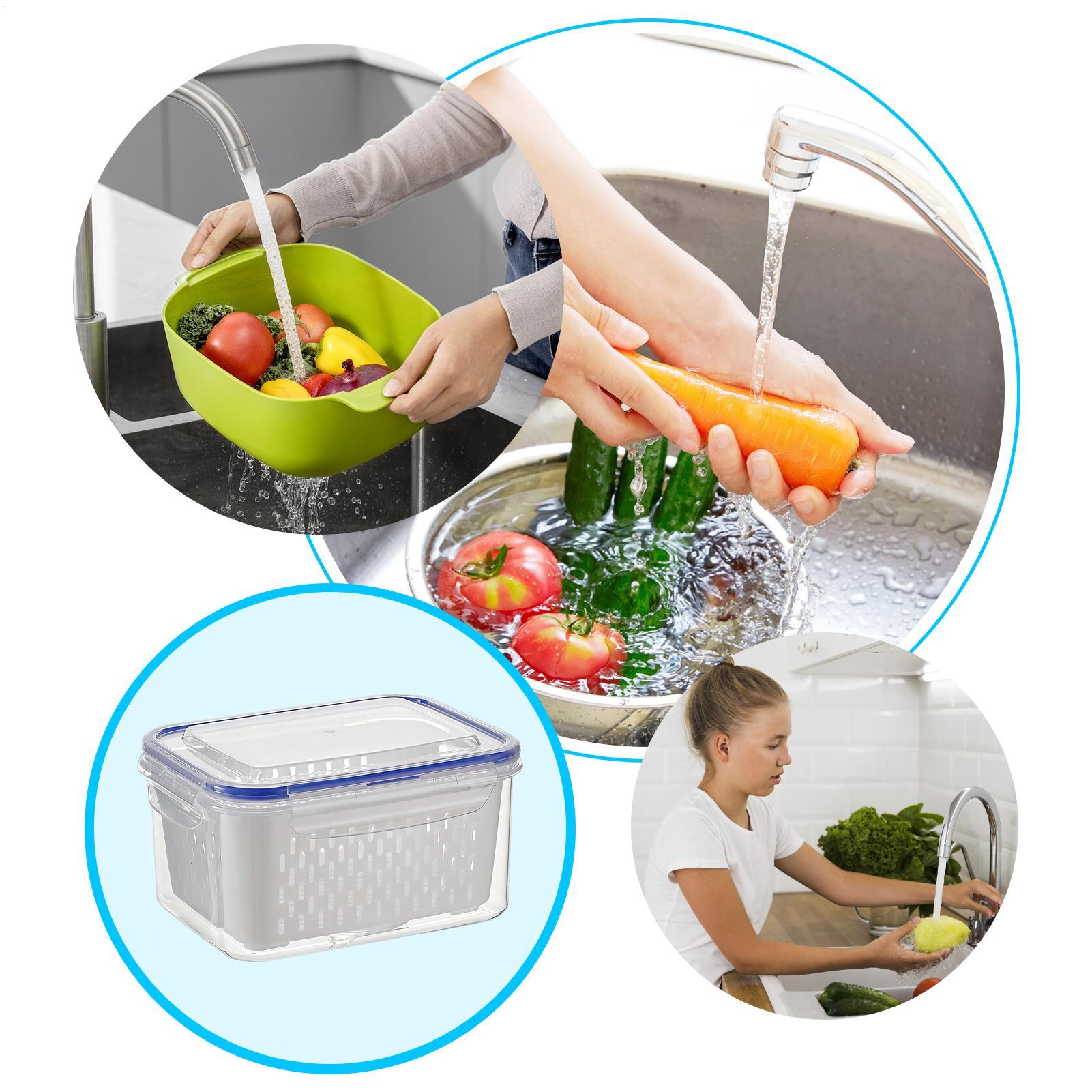 4 in 1 식품 보관 용기 4 in 1 누수 방지 투 - Food Storage Plastic 리뷰 및 가격