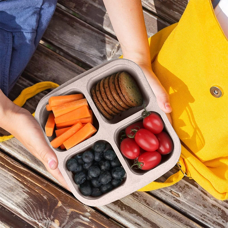 휴대용 식품 보관함, 냉장고 냉동고 정리함, 야채 과일 - Food Storage With Compartments 리뷰 및 가격